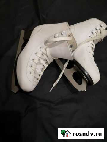 Коньки Саранск - изображение 1