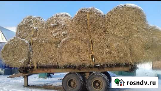 Сено Ишим - изображение 1