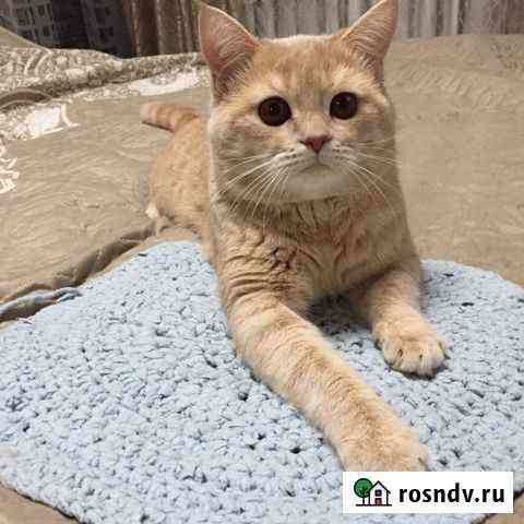 Вязка Кстово