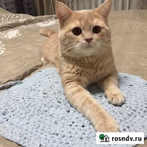 Вязка Кстово - изображение 1