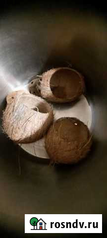 Кокос и растения в аквариум Люберцы - изображение 1