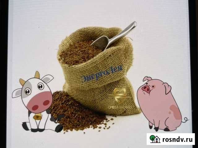 Профкорм Ачинск - изображение 1