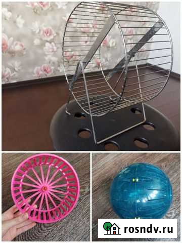 Колёсико для грызунов и др Пушкино - изображение 1