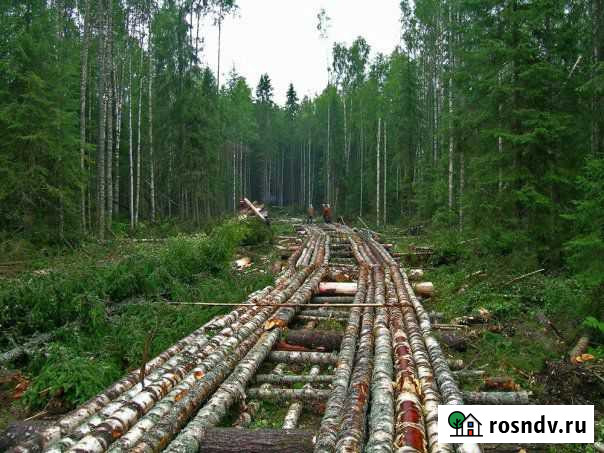 Требуется бригады лесозаготовителей Кочево - изображение 1