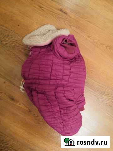 Одежда для собак Раменское - изображение 1