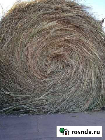 Сено в рулонах с доставкой Садовое - изображение 1