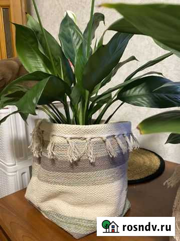 Мешочек для цветов Воронеж - изображение 1