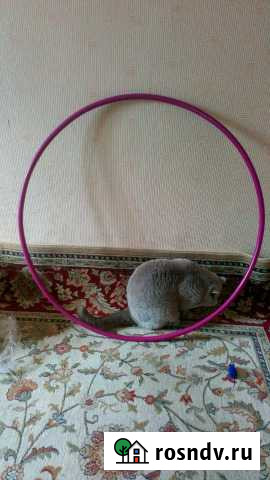 Обруч халахуп металлический Санкт-Петербург - изображение 1