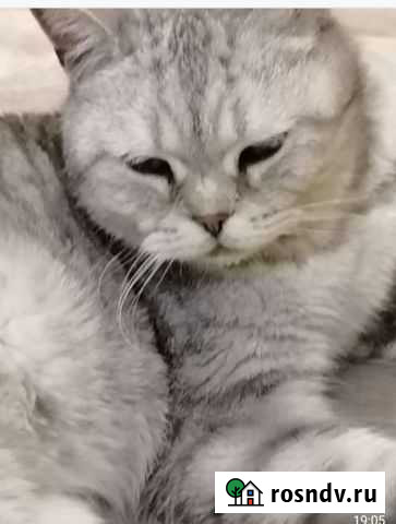 Британская Казань - изображение 1