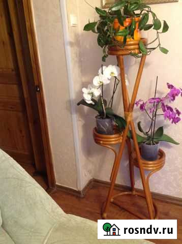 Подставка для цветов из ротанга Остров - изображение 1