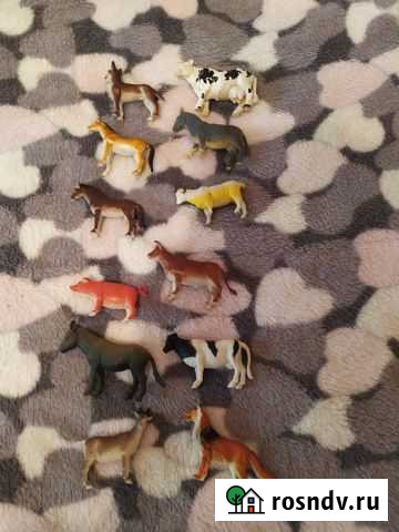 Животные Рязань - изображение 1