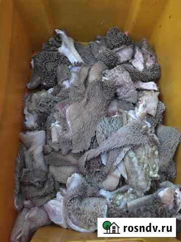 Корм для собак Миллерово - изображение 1