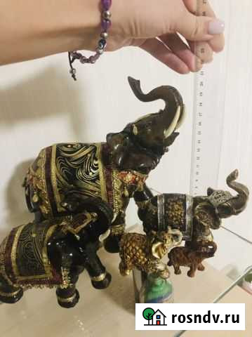 Слон Мурманск - изображение 1