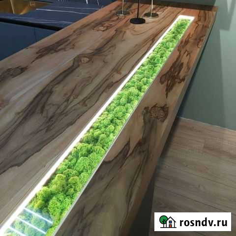 Стабилизированный мох - панно Стерлитамак - изображение 1