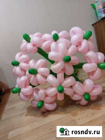 Цветы из воздушных шаров Чебоксары - изображение 1