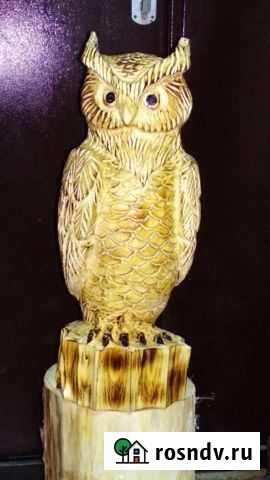 Сова Киров - изображение 1