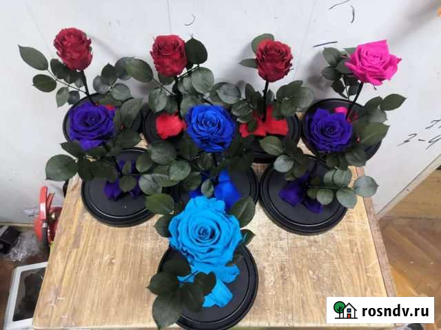 Роза в колбе оптом и в розницу Улан-Удэ - изображение 1