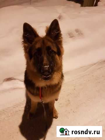 Вязка Сызрань - изображение 1