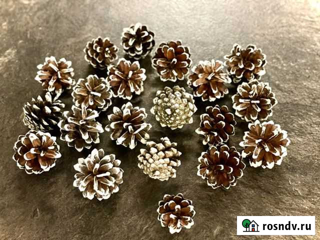 Шишки сосновые прокрашенные 20шт Гатчина - изображение 1