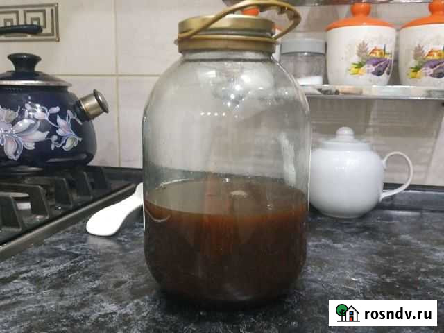 Настойка на пчелином подморе Владимир - изображение 1