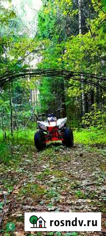 Квадроцикл кауо storm 150 Покров - изображение 1