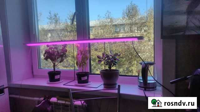 Фито светильник Благовещенск - изображение 1