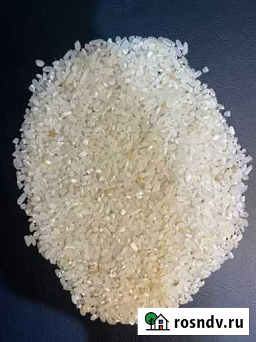 Рис кормовой Славянск-на-Кубани - изображение 1