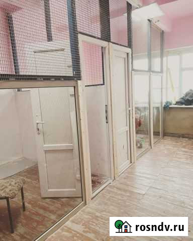 Передержка зоогостиница для собак Троицк Троицк - изображение 1