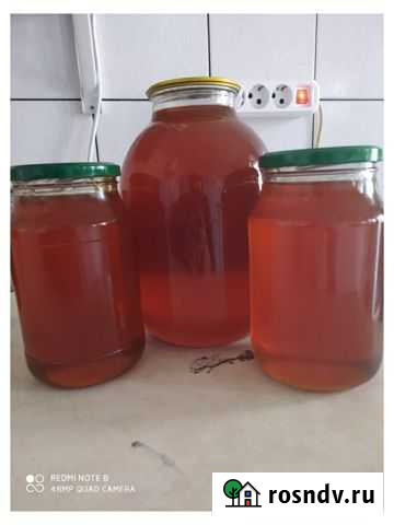 Мёд. Разнотравье Славянск-на-Кубани - изображение 1