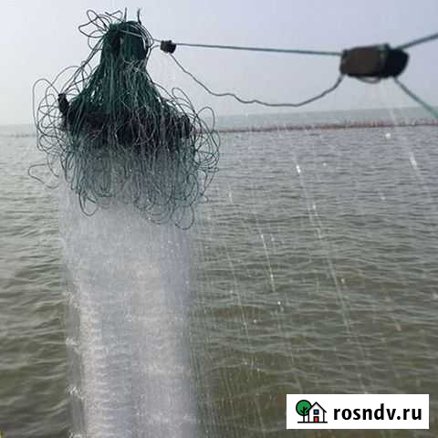 Плавун Нарьян-Мар - изображение 1