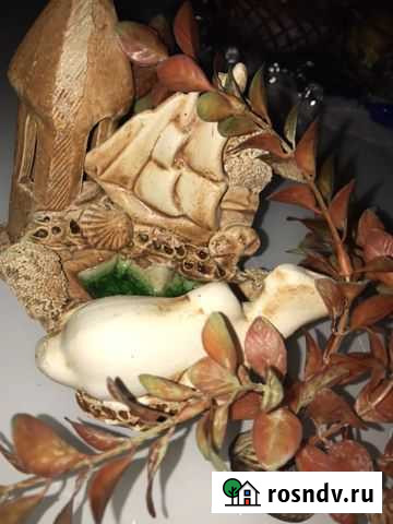 Ракушка Яйва - изображение 1