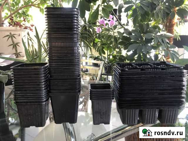 Горшки для рассады Кемерово - изображение 1