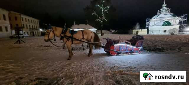 Прогулки на лошадях Суздаль - изображение 1
