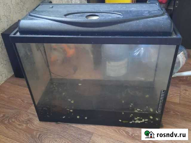 Аквариум Сыктывкар - изображение 1