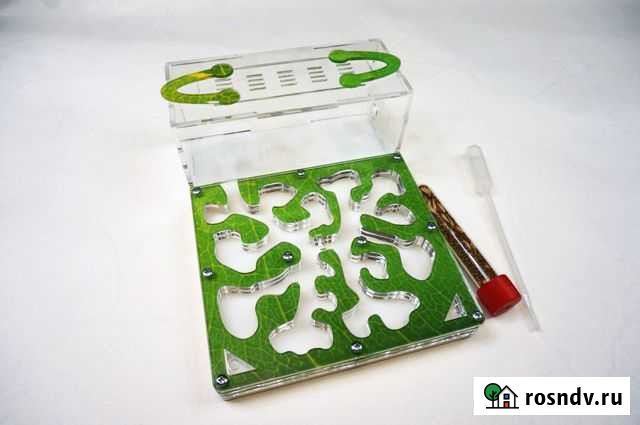 Формикарий муравьиная ферма Балтийск - изображение 1