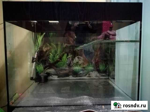 Аквариум Ялта - изображение 1