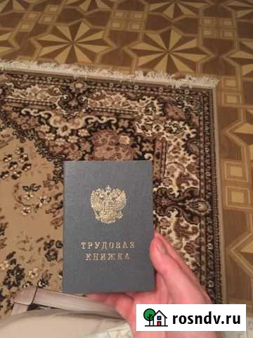 Трудовая книжка Краснодар - изображение 1