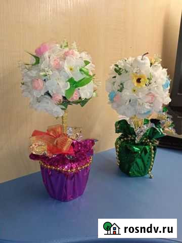 Красивые цветы для дома Астрахань - изображение 1