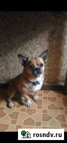 Вязка Кострома - изображение 1