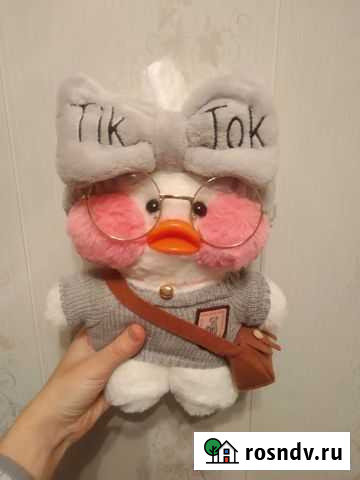 Уточка в очках Красноярск - изображение 1