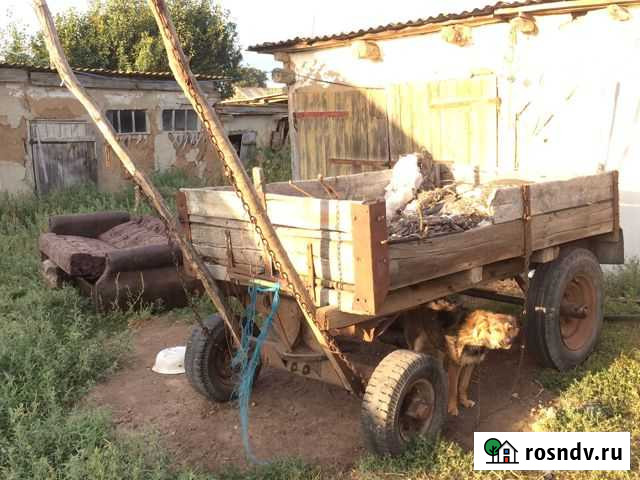 Телега для лошади Илек - изображение 1