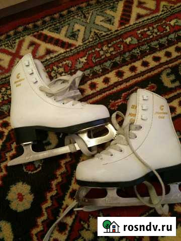 Коньки Брянск - изображение 1