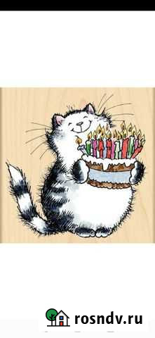 Отдам кошку в добрые руки Саранск - изображение 1