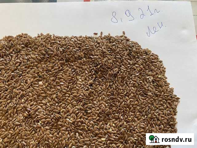 Лён Родионово-Несветайская - изображение 1