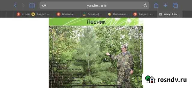 Лесник Нижний Новгород - изображение 1