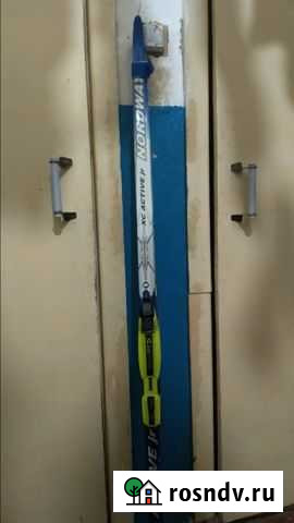 Беговые лыжи Емва - изображение 1