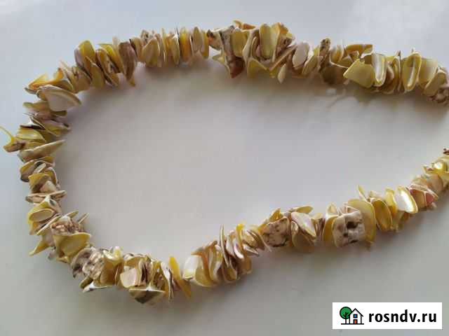 Бусы из ракушек Васильково - изображение 1