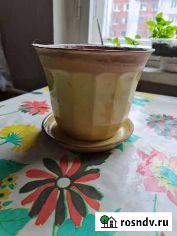 Горшок для цветов керамический Чебоксары - изображение 1