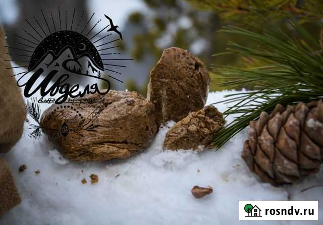 Смолка жевательная Серка живица очищенная Ивдель - изображение 1