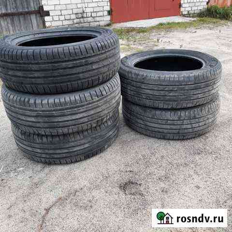 Автошины 225/55 R18 Сегежа